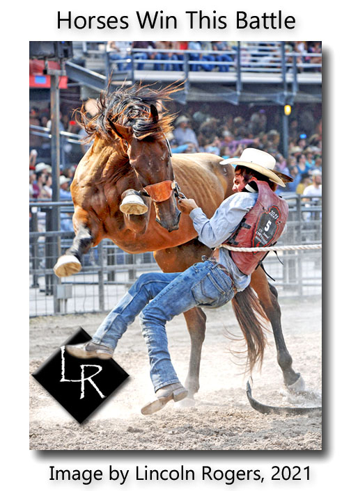 In a contest of strength and determination, it is cowboy against horse in the annual Wild Horse Race at the conclusion of the historic Cheyenne Frontier Days in Cheyenne, WY. 